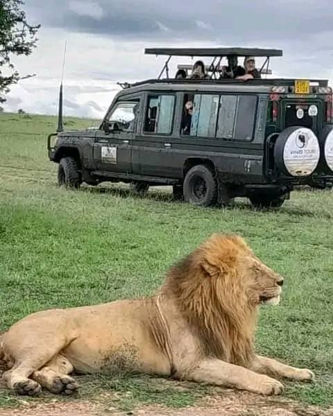 483528290_1874311350048888_4927877705860497743_n