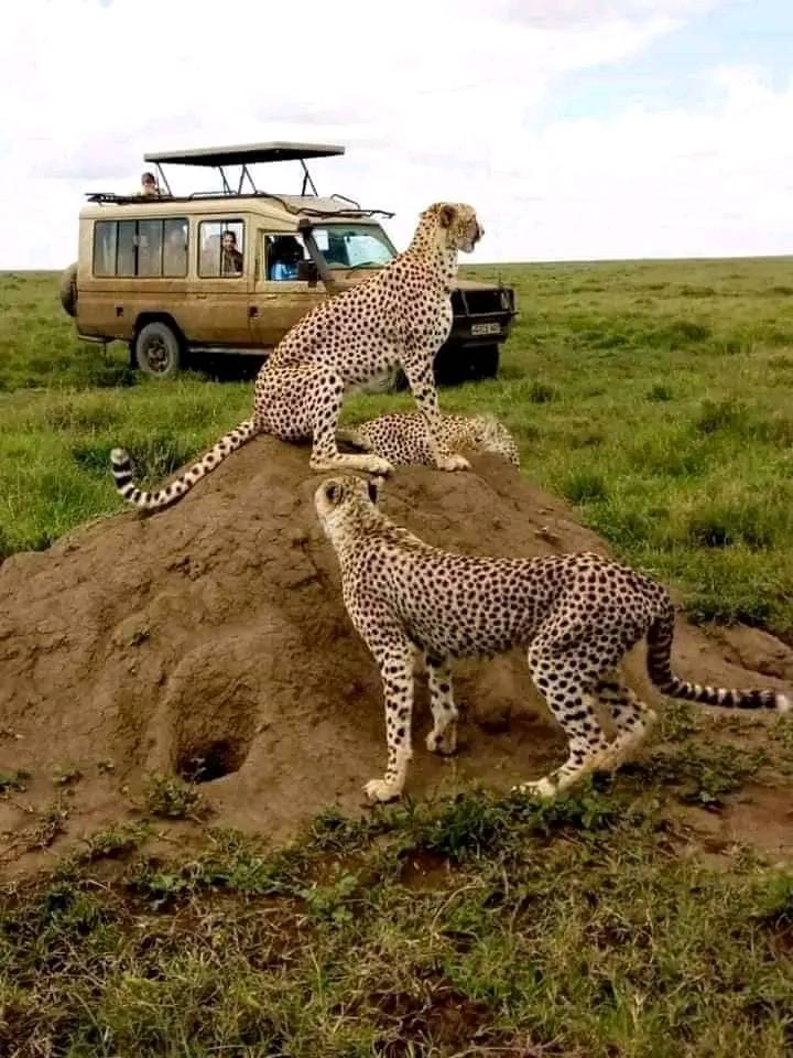 483551007_1874357696710920_113932073017189961_n