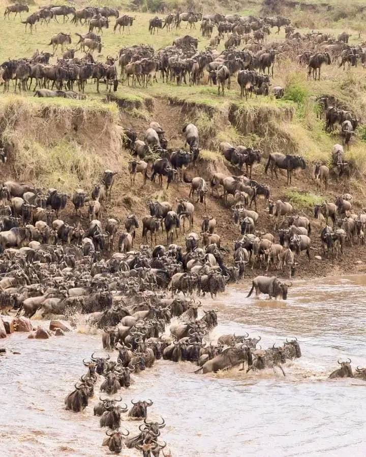 484704877_1874311333382223_1085770221344552834_n