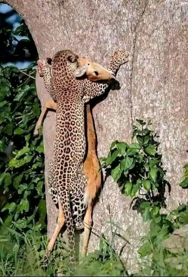 486349438_1879286839551339_6592366744257683726_n