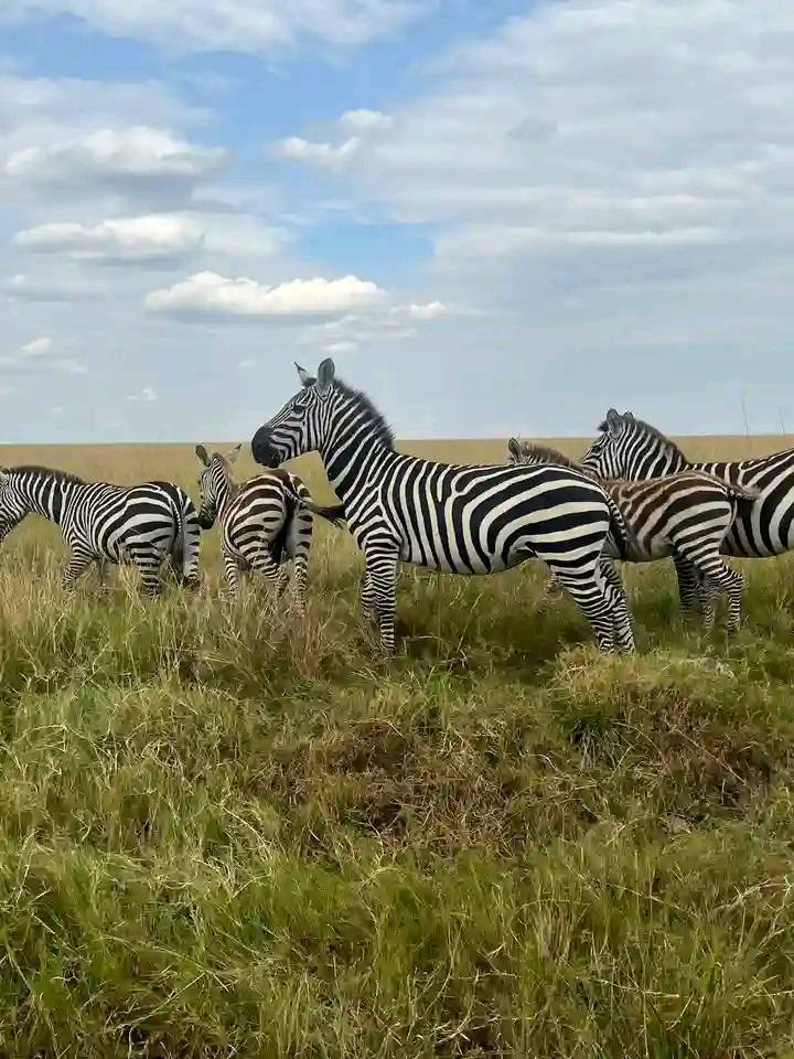 486602116_1879293496217340_6006349779649832987_n