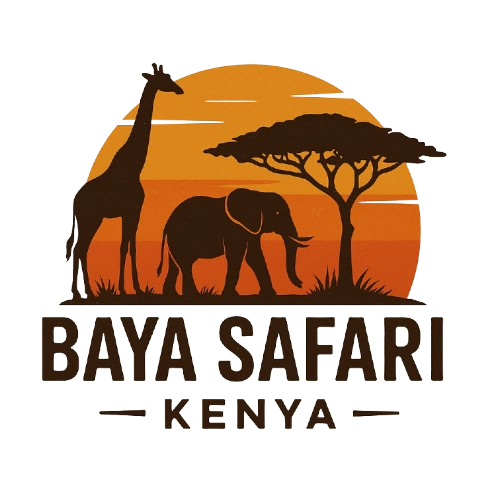 bAyalogo-removebg-preview